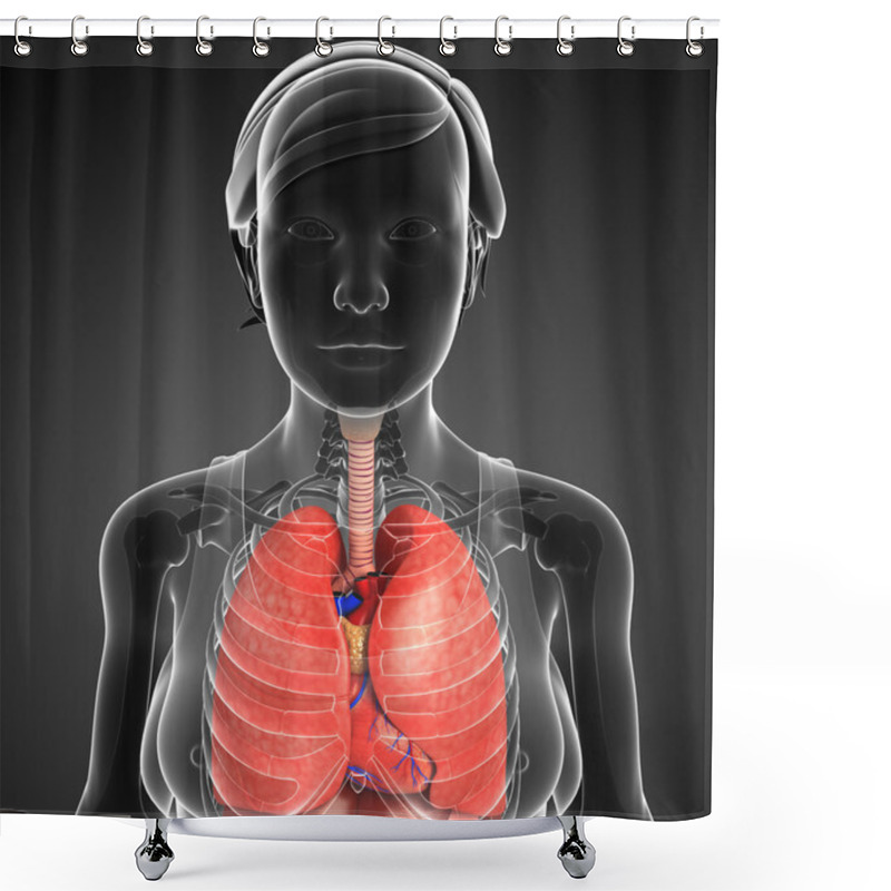 Personality  Female Respiratory System Shower Curtains