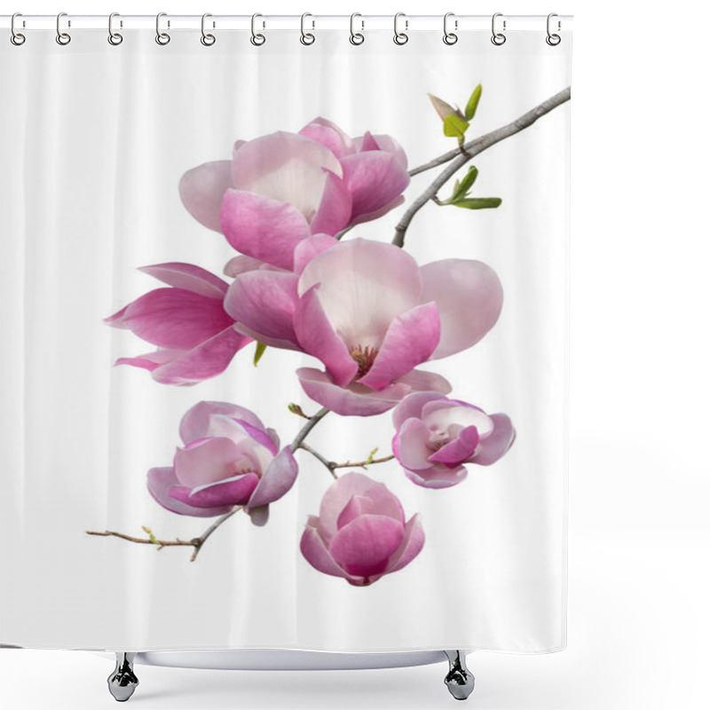 Personality  Flowering Branch Of Magnolia Shower Curtains