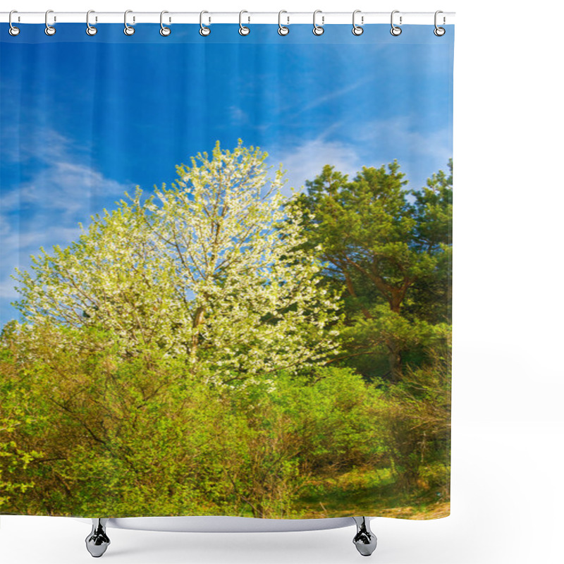 Personality  Spring Forest By Springtime. Shower Curtains