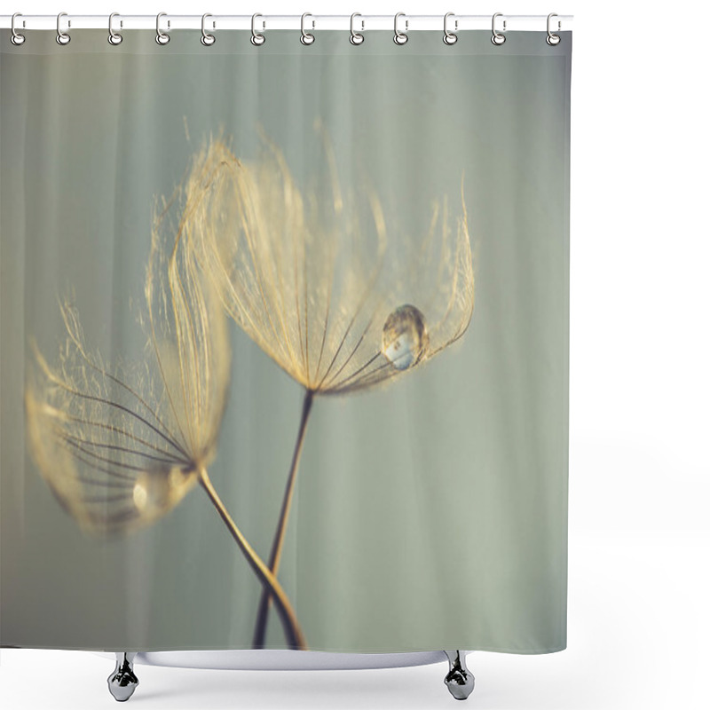 Personality  Abstract Dandelion Flower Background, Extreme Closeup. Big Dandelion On Natural Background Shower Curtains