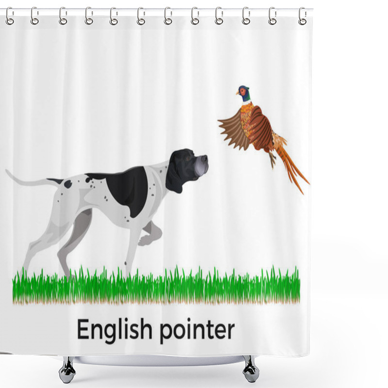 Personality  English Pointer. Pheasant Hunting. Vector Illustration Isolated On The White Background Shower Curtains