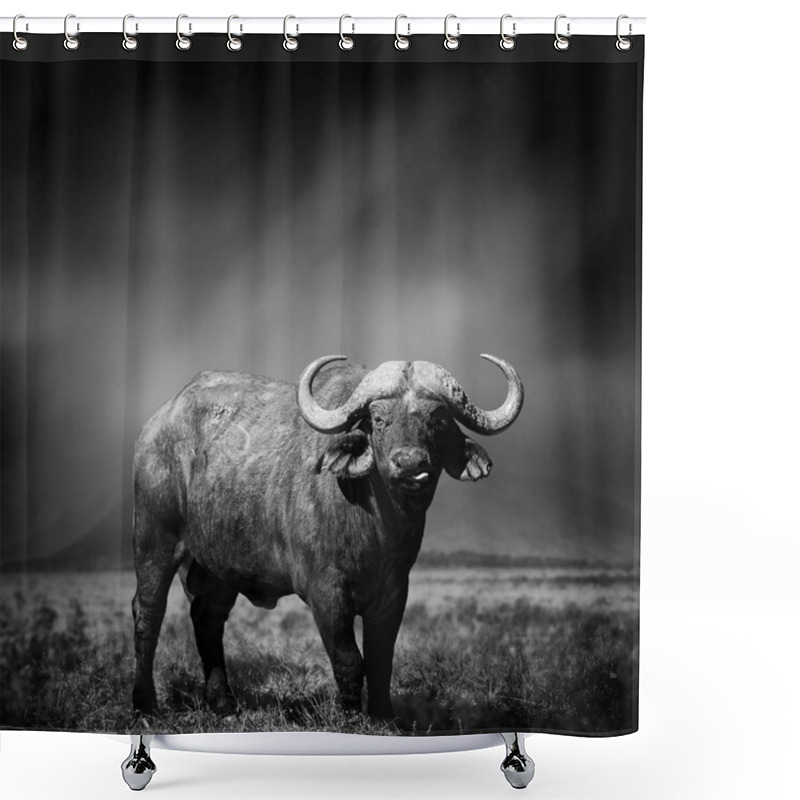 Personality  Black And White Image Of A Buffalo Shower Curtains