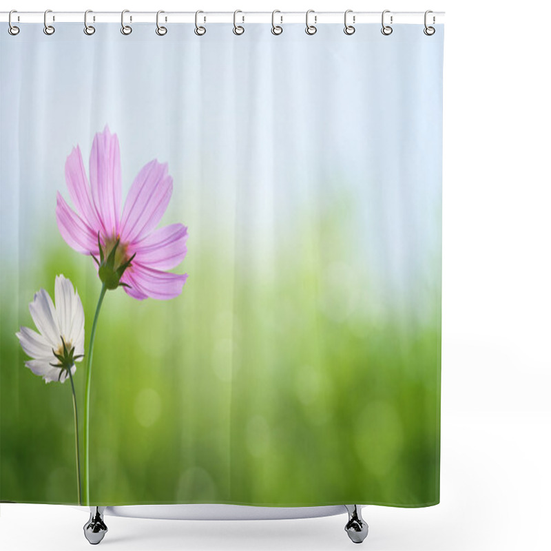 Personality  Cosmos Flowers On Spring Background Shower Curtains