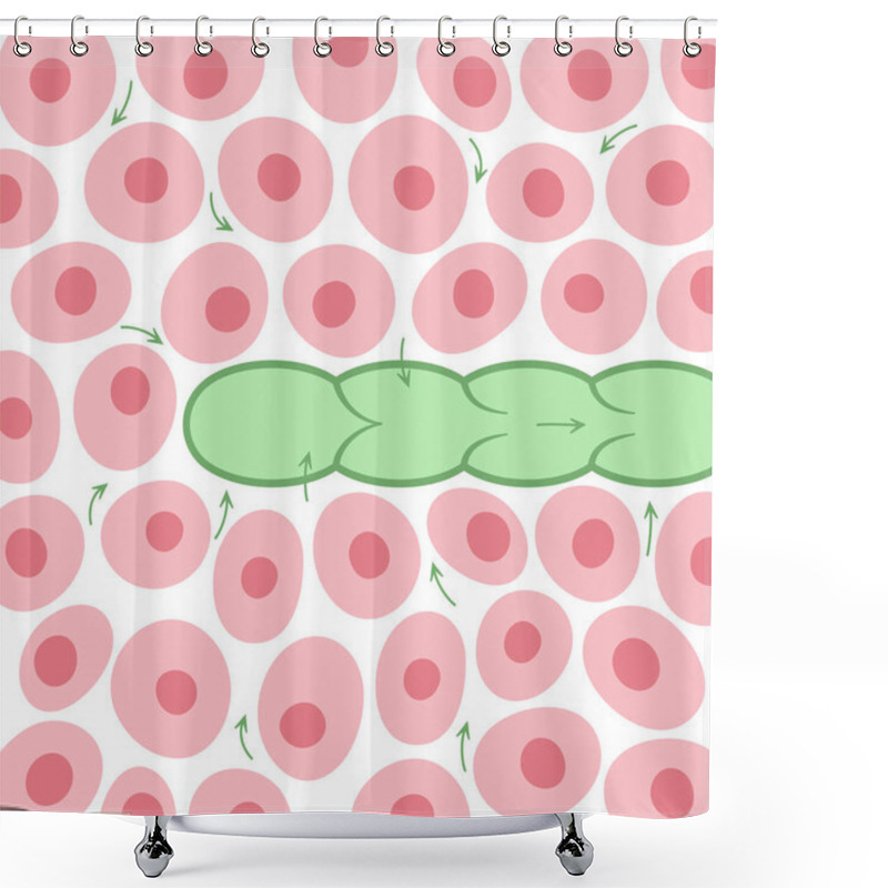 Personality  Lymphatic Vessel Concept Shower Curtains