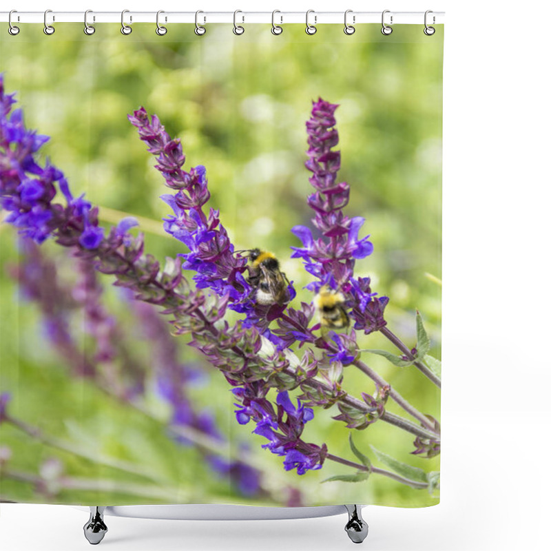 Personality  Woodland Sage Flowers Shower Curtains