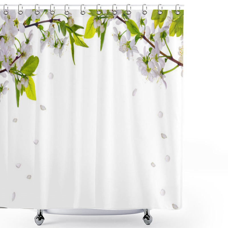 Personality  Cherry-tree Flowers Half Frame And Falling Petals Shower Curtains