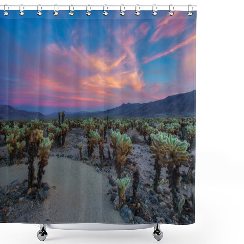 Personality  Cholla Cactus Garden In Joshua Tree National Park At Sunset Shower Curtains