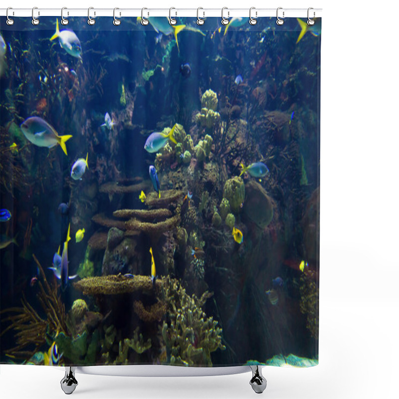 Personality  Undersea World Shower Curtains