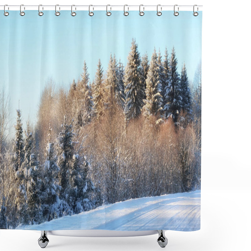 Personality  Winter Forest Landscape Sunlight Snow Shower Curtains