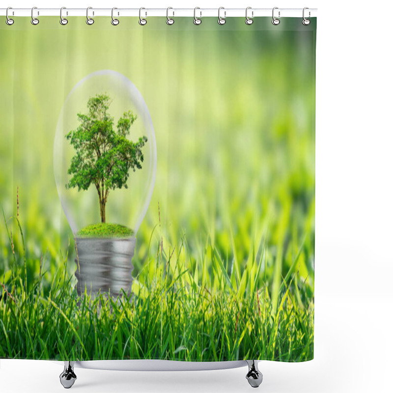 Personality  The Bulb Is Located On The Inside With Leaves Forest And The Trees Are In The Light. Concepts Of Environmental Conservation And Global Warming Plant Growing Inside Lamp Bulb Over Dry Shower Curtains