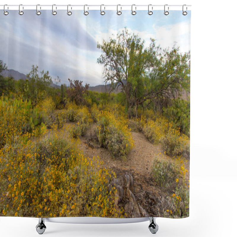 Personality  Desert Wildflower Landscape. Vibrant Super Bloom Of Yellow Brittlebush Flowers At Saguaro National Park In Tucson, Arizona. Shower Curtains