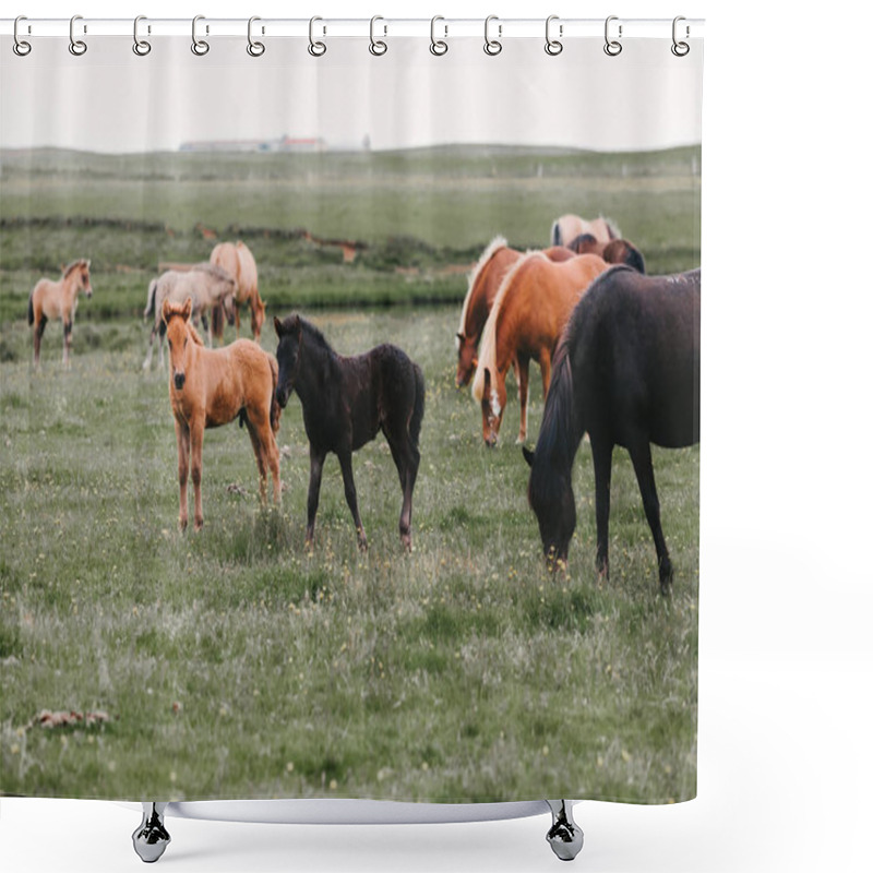 Personality  Grazing Shower Curtains