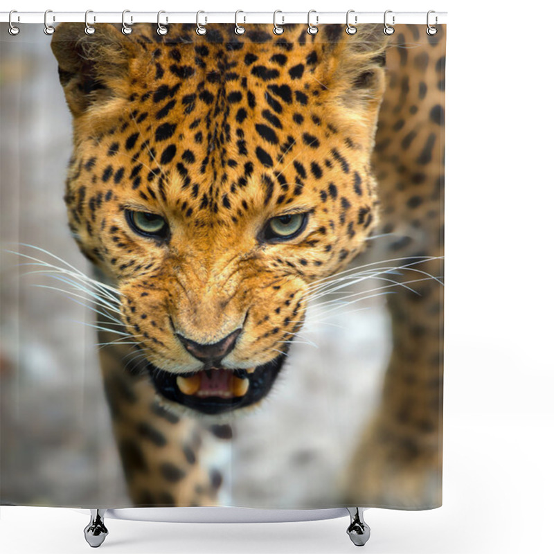 Personality  Leopard In The Wild On The Island Of Sri Lanka Shower Curtains