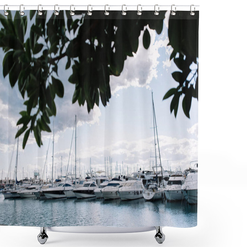 Personality  A Lot Of White Yachts On The Water. Boats On The Ocean Water. A White Yacht. The Branches Of A Tree. Beautiful Sunset. A Pink Sunset. Shower Curtains