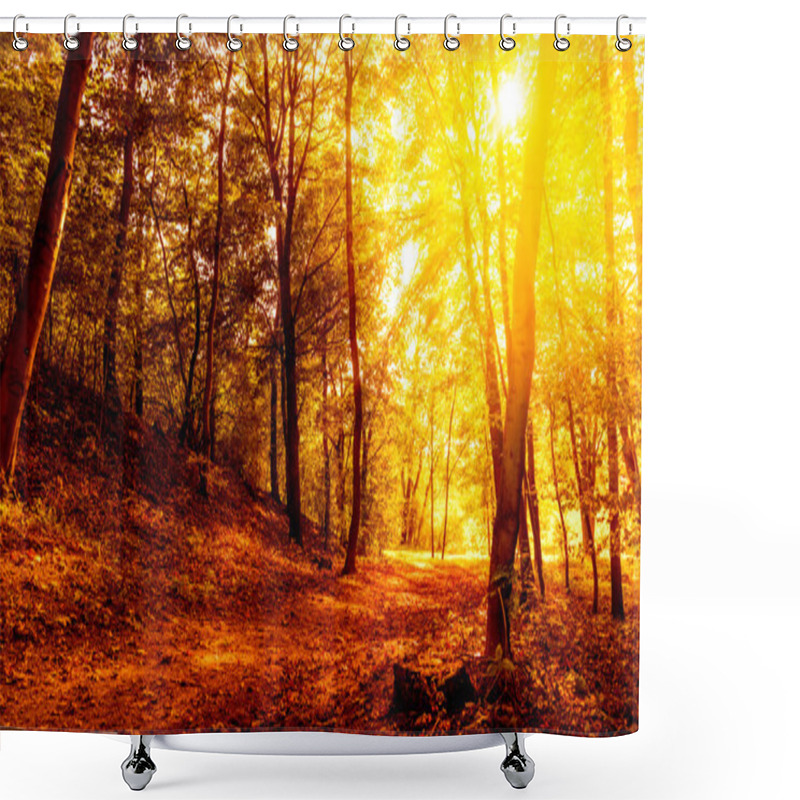 Personality  Sundown Woods Shower Curtains