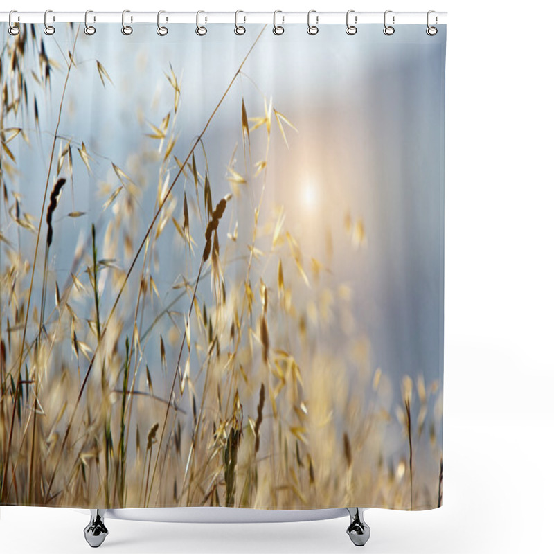 Personality  Typical Tuscany Landscape, Italy Shower Curtains