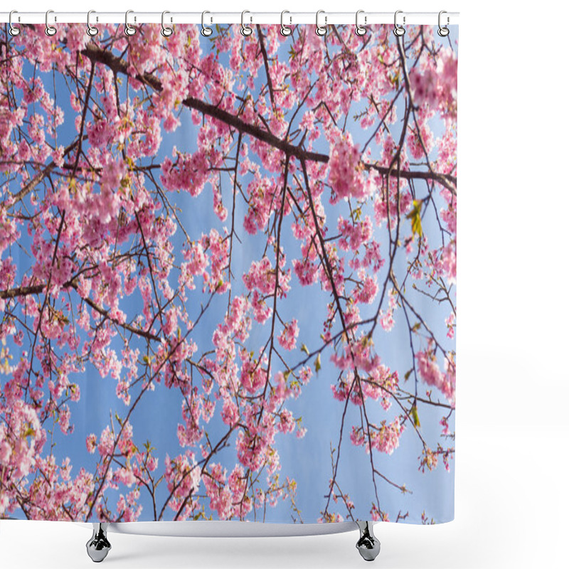 Personality  Blooming Sakura Tree Branches Shower Curtains