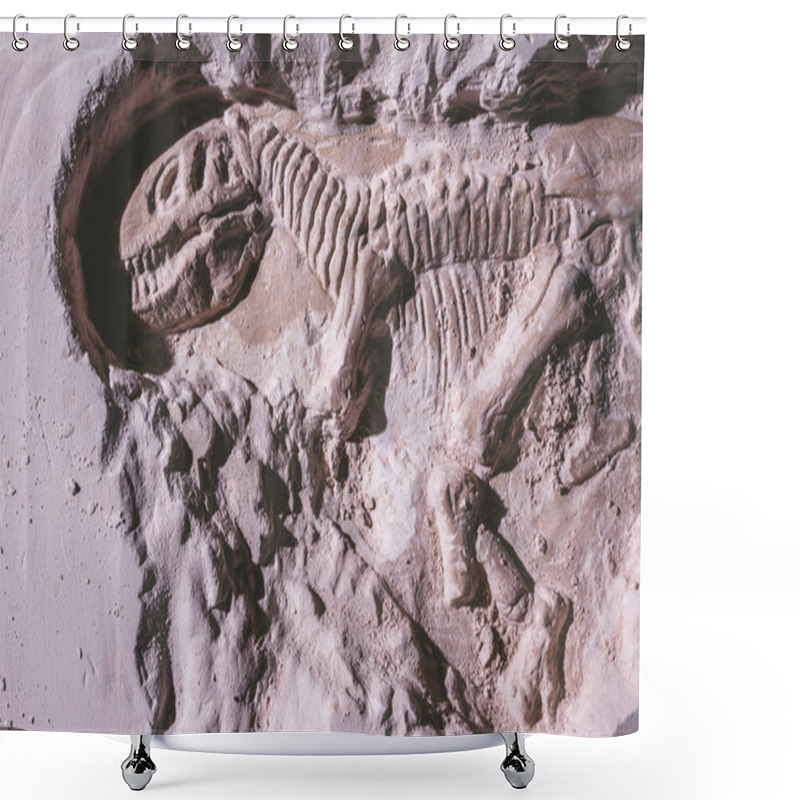 Personality  Skeleton Of Dinosaur. Tyrannosaurus Rex Simulator Fossil In Ground Stone. Shower Curtains