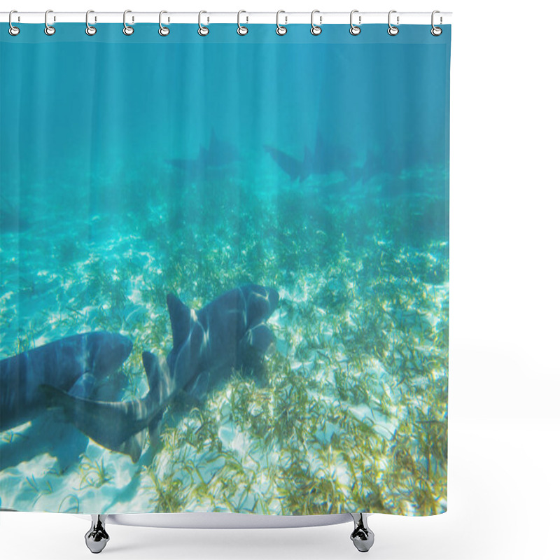 Personality  Caribbean Coral Sharks Shower Curtains