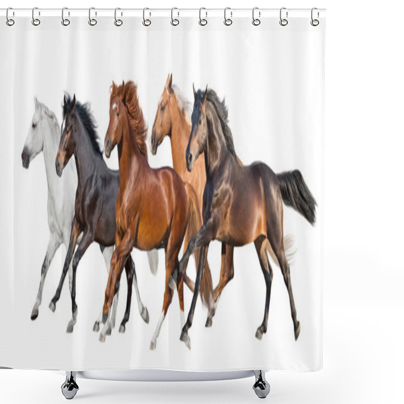 Personality  Horse Herd Fast Run Isolated Shower Curtains