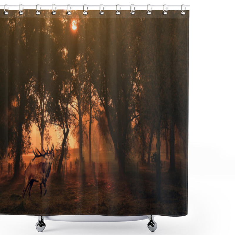 Personality  Deer In Autumn Forest At Sunrise Shower Curtains