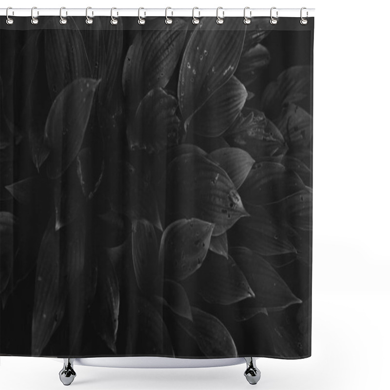 Personality  Abstract Textures Of Flowers And Plants From Nature. Floral Background. Shower Curtains