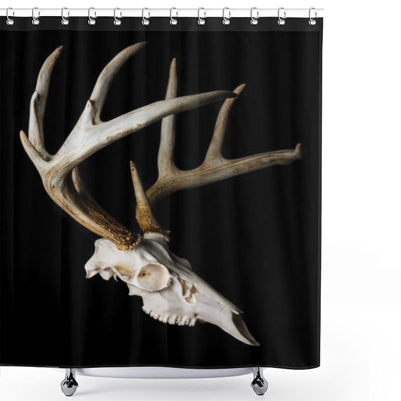 Personality  Close Up Of Deer Skull On Black Background Side View Shower Curtains