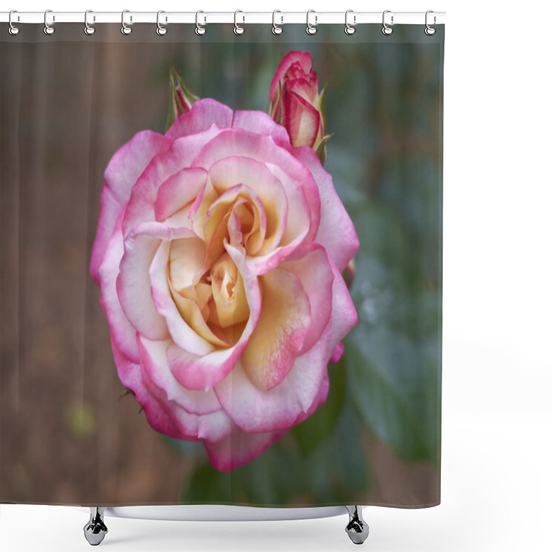 Personality  Rose Flower, Natural Background Shower Curtains