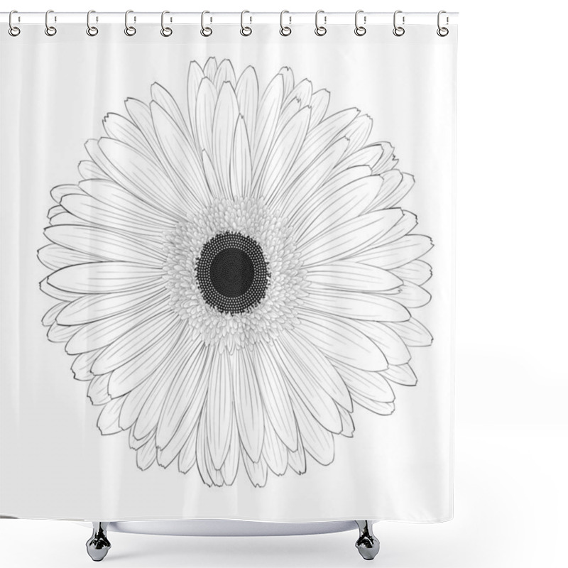 Personality  Beautiful Monochrome, Black And White Gerbera Flower Isolated. Shower Curtains