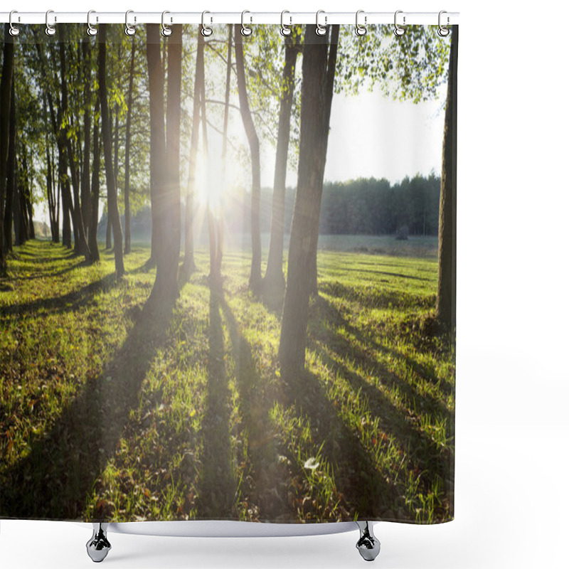 Personality   Forest Shower Curtains