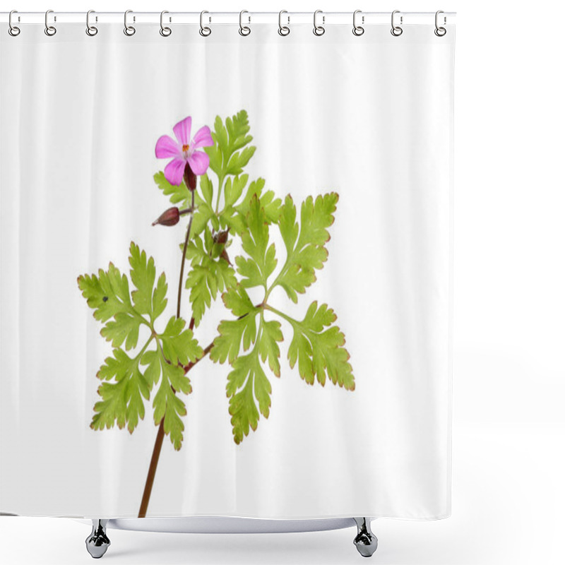 Personality  Herb Robert Shower Curtains