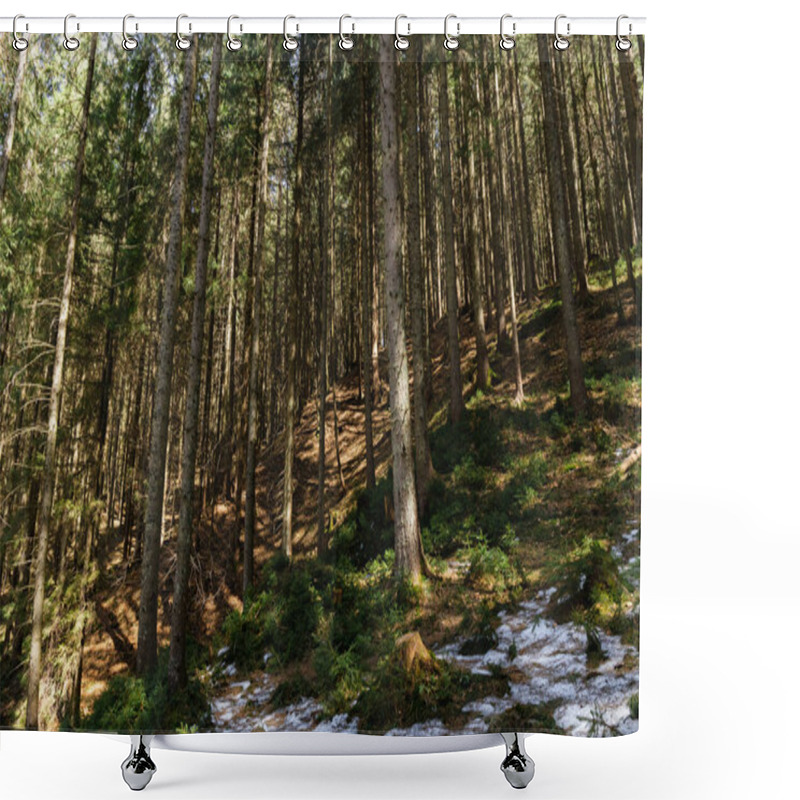 Personality  Forest With Snow On Hill In Spring Season  Shower Curtains