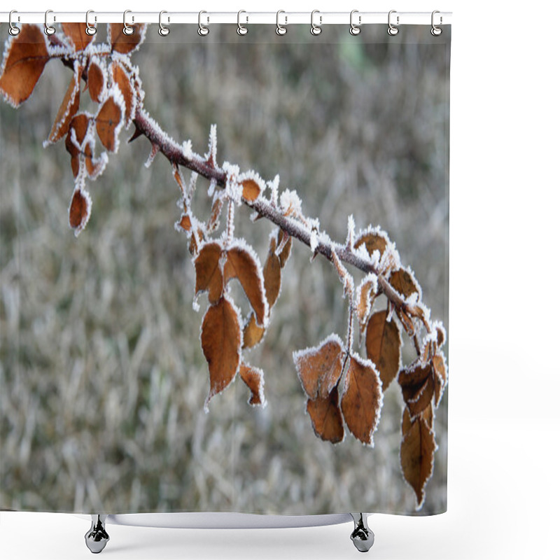 Personality  Winter Rose Shower Curtains