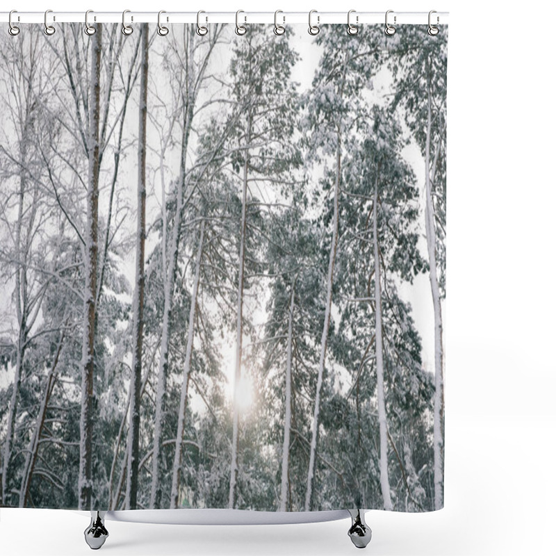 Personality  Sun Between Trees Covered With Snow In Forest Shower Curtains