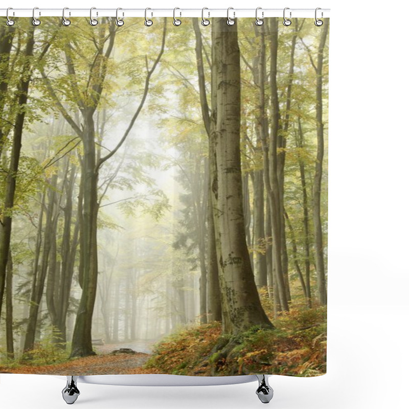 Personality  Mountain Trail In Foggy Autumn Forest Shower Curtains