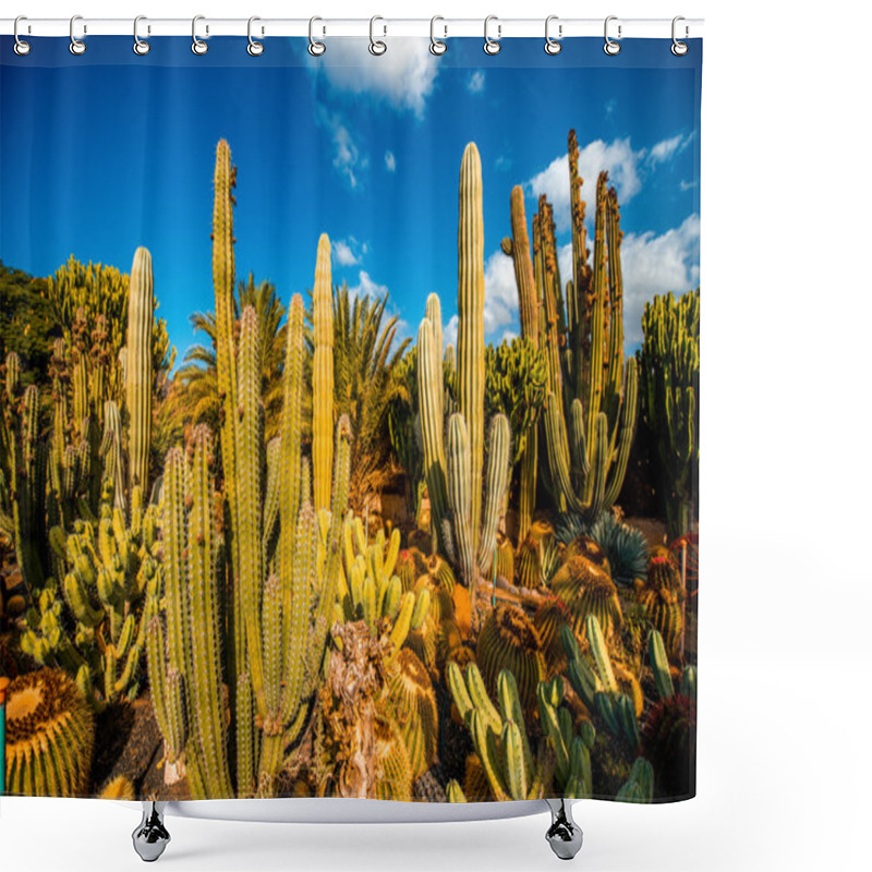 Personality  Cactus Garden On Gran Canaria Island Shower Curtains