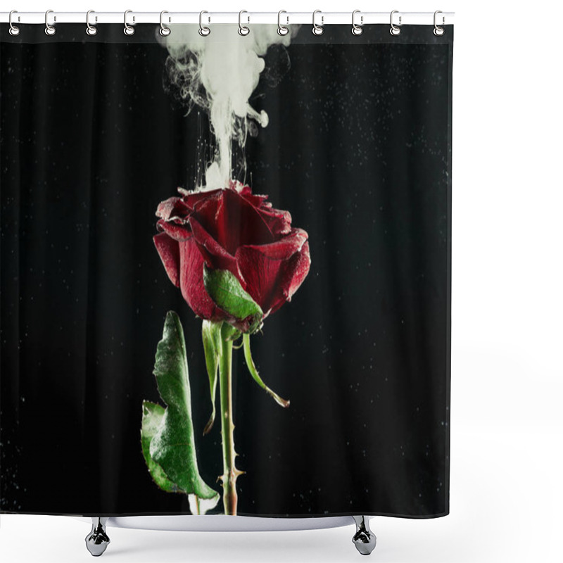 Personality  Close-up View Of Beautiful Red Rose Flower And White Abstract Ink On Black  Shower Curtains