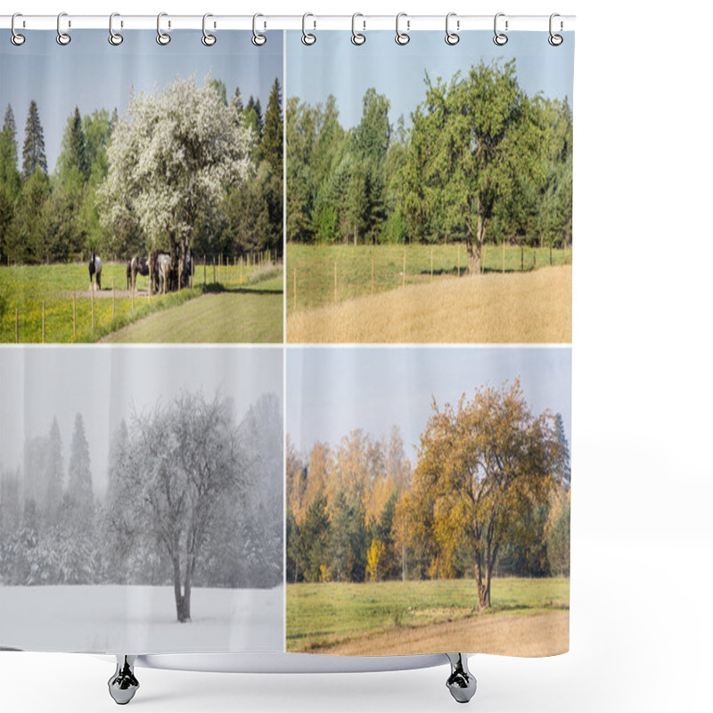 Personality  Beautiful Collage Of 4 Seasons Different Pictures Of An Apple Tree On Field, Same Spot, Place. White Spring Blossoms, Green Fresh Bright Summer Day, Yellow Autumn Leaves, Snowstorm In Winter.  Shower Curtains