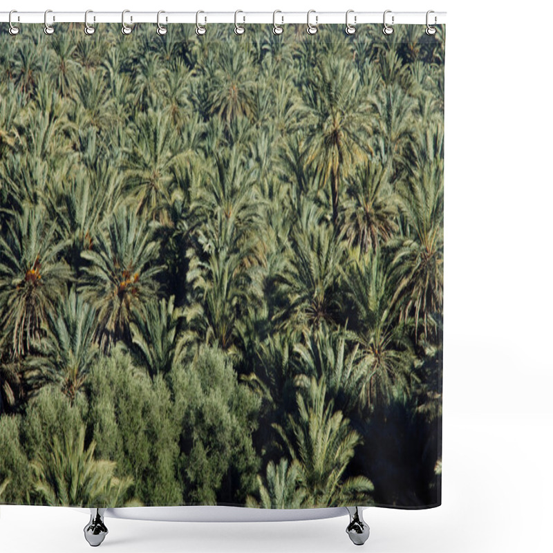 Personality  Palmtree Shower Curtains