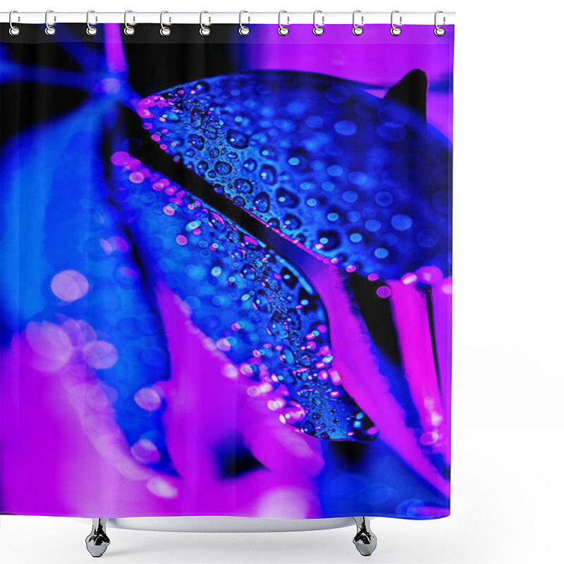 Personality  Botany Texture With Blue Schefflera Leaf With Purple Drops Shower Curtains