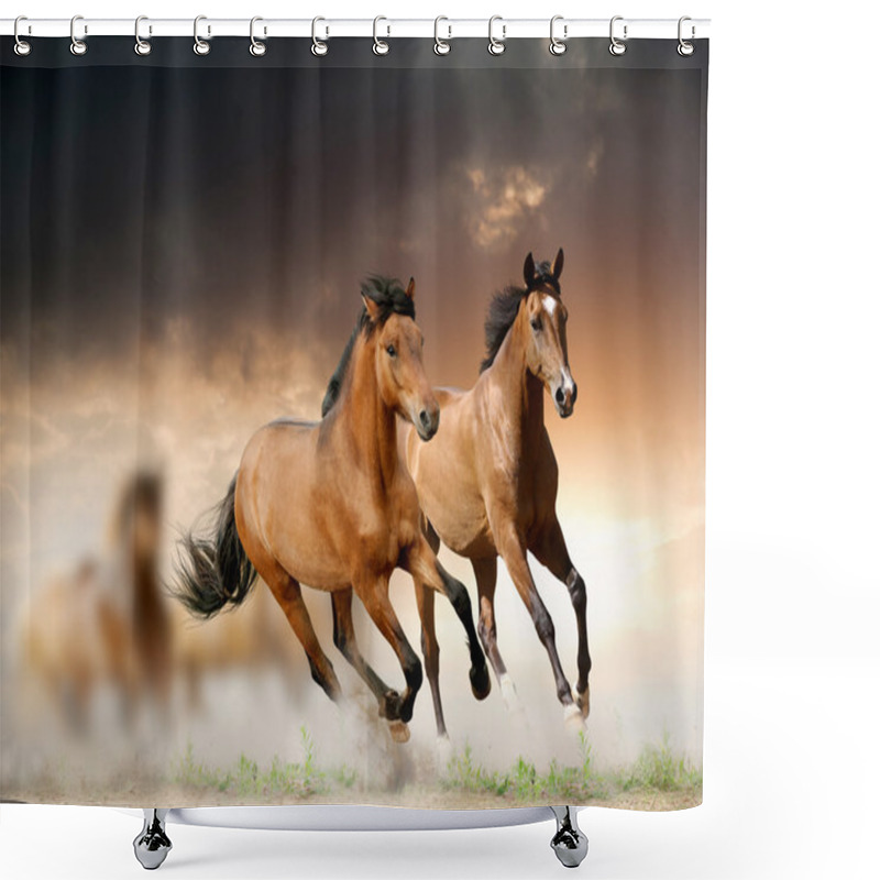 Personality  Horses In Sunset Shower Curtains