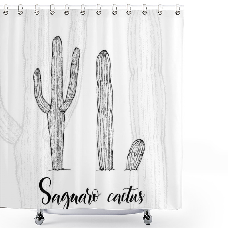 Personality  Hand Drawn Saguaro Cactus Shower Curtains