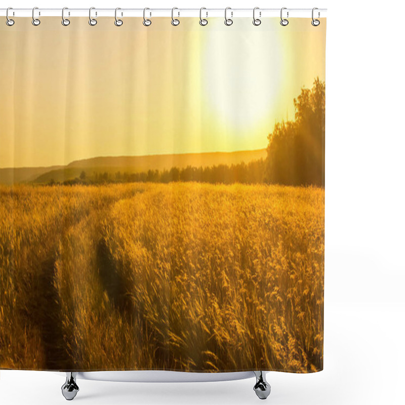 Personality  Field With Sunlight Shower Curtains