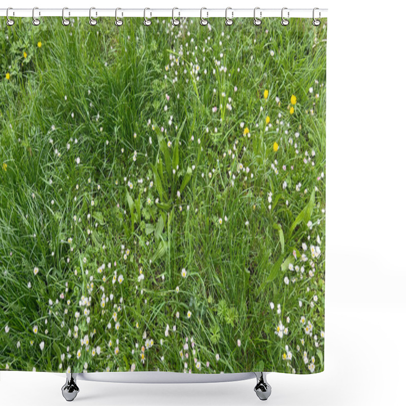 Personality  Lush Green Meadow Filled Vibrant Green Grass And Diverse Wildflowers Daisies Buttercups Shower Curtains