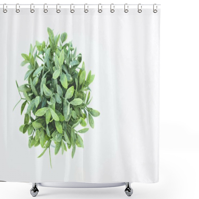 Personality  Lush Green Plant In A Round Shape Against A Clean White Background. Shower Curtains