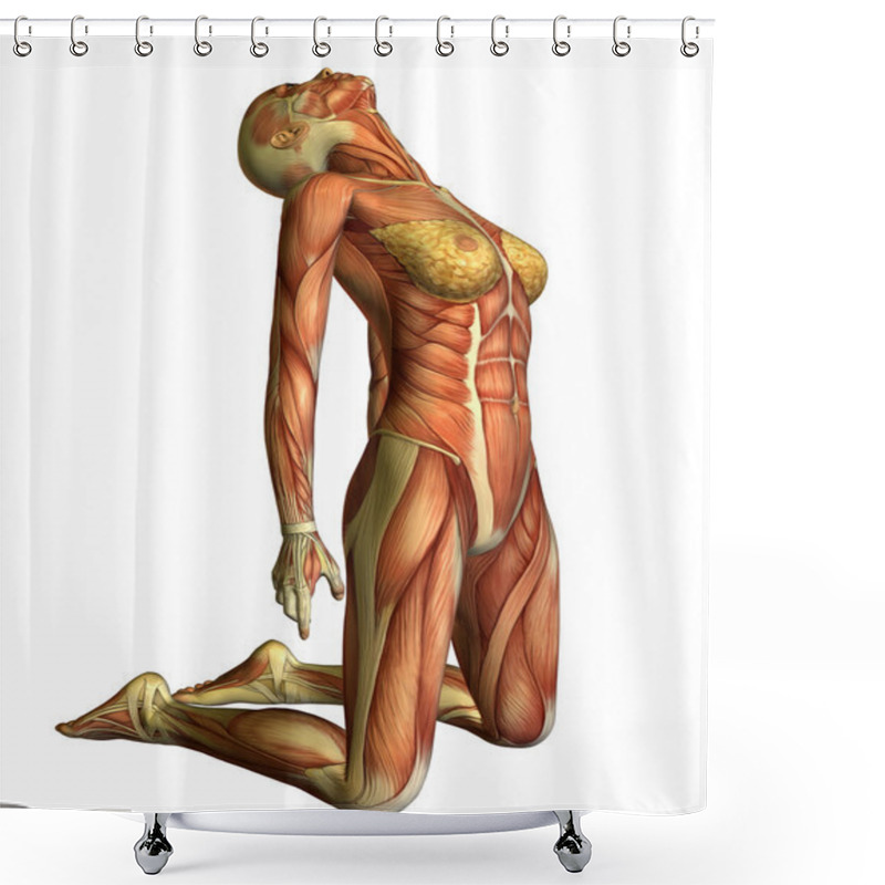 Personality  Muscle Woman On Her Knees Head Back Shower Curtains