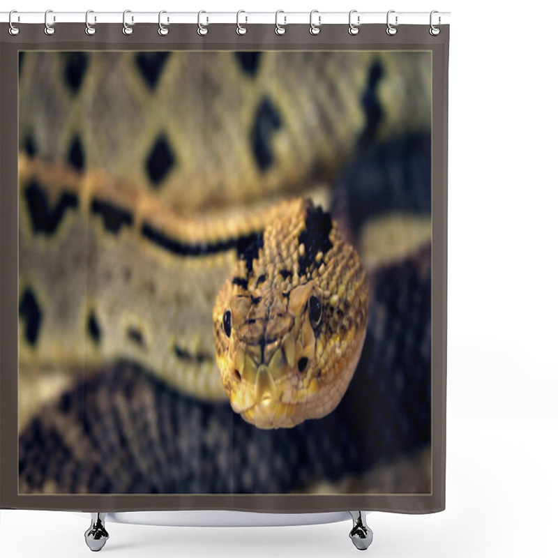 Personality  Yellow Snake Shower Curtains