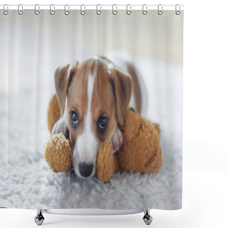 Personality  Jack Russel Terrier Puppy Sleeping On White Bed Shower Curtains