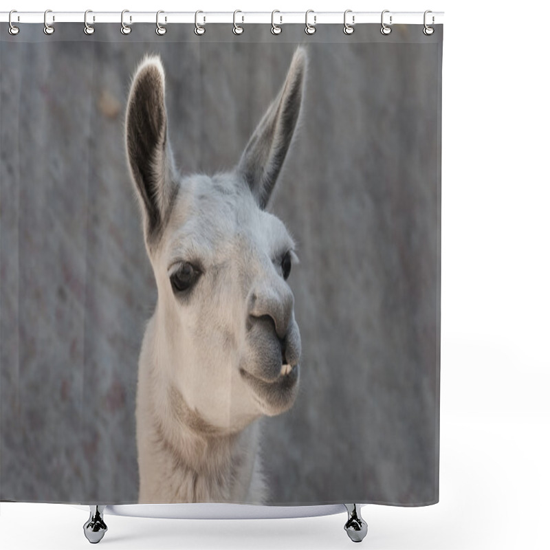 Personality  Llama Shower Curtains