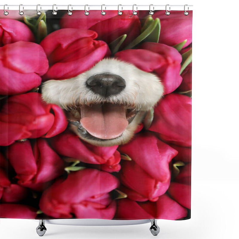 Personality  Adorable Bichon Surrounded By Beautiful Tulips Flowers. Spring Mood Shower Curtains